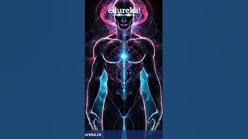 Wondering whats new with GPT 4o? This video will help you understand that #edureka #chatgpt #gpt4o