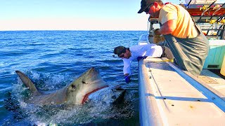 Unbelievable Fishermen Longline Fishing Tuna And  Shark Catch Thousands of Monster Fish The Boat 02