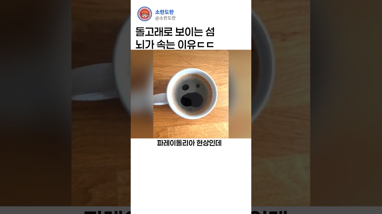 파레이 돌리아현상ㄷㄷ