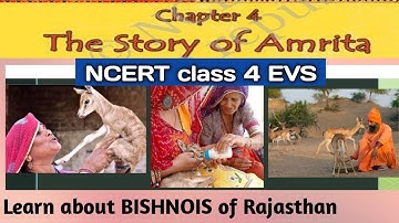 THE STORY OF AMRITA in हिंदी | NCERT Class 4 EVS Chapter 4 with Picture Explanation | About BISHNOIS