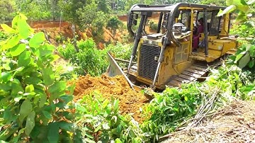 D6R XL Bulldozer Operator Extraordinary Workers Making Palm Terraces