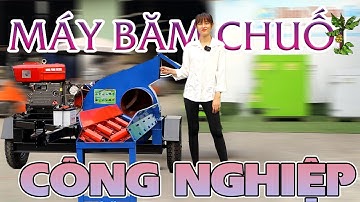 Máy Băm Chuối Công Nghiệp Bệ Kéo Đầu nổ Sử Dụng Mọi Nơi Năng Suất 3-4 Tấn Mỗi Giờ