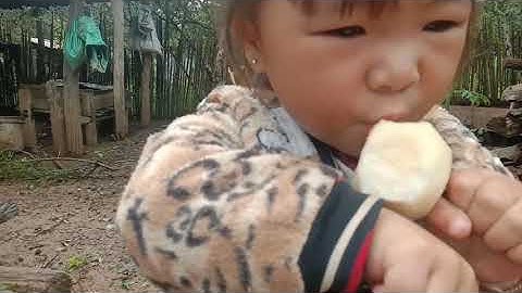 ua cooj qaib rau qaib pw..