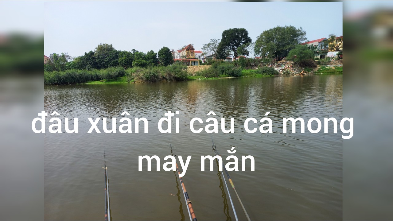 tub đỗ quán@doquan3851 người đăng ký