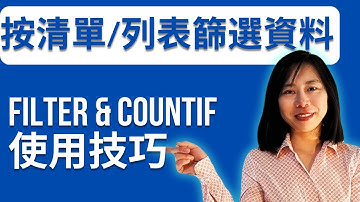 excel 資料篩選| 按清單/列表篩選 资料 | filter 使用技巧 | countif 函數 #exceltutorial #excelformula #excel#excel 教学