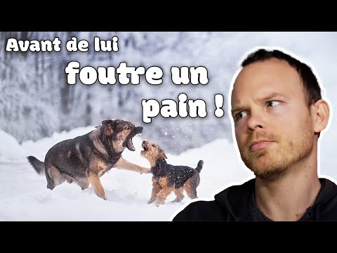 "BISBILLE" ça me dit rien... épisode 13