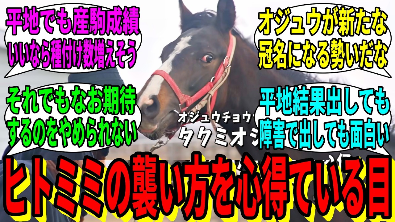 【競馬の反応集】「オジュウの子、メチャクチャ父の血を感じる」に対する視聴者の反応集