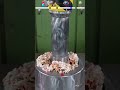 hydraulic machine VS dear 🤯#entertainment #experiment #shorts