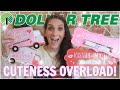 *BRAND NEW* DOLLAR TREE HAUL | $1.25 JACKPOT FINDS + LOKI ATE IT LOL!