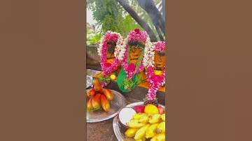 Nagaraja Pooja #nature #youtube #devotional #shorts #reels #ayyappa #kerala