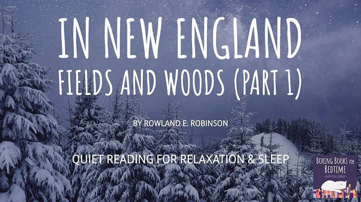 In New England Fields & Woods (Part 1)| ASMR Quiet...