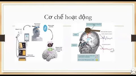 Bệnh tâm thần tên tiếng anh là gì năm 2024