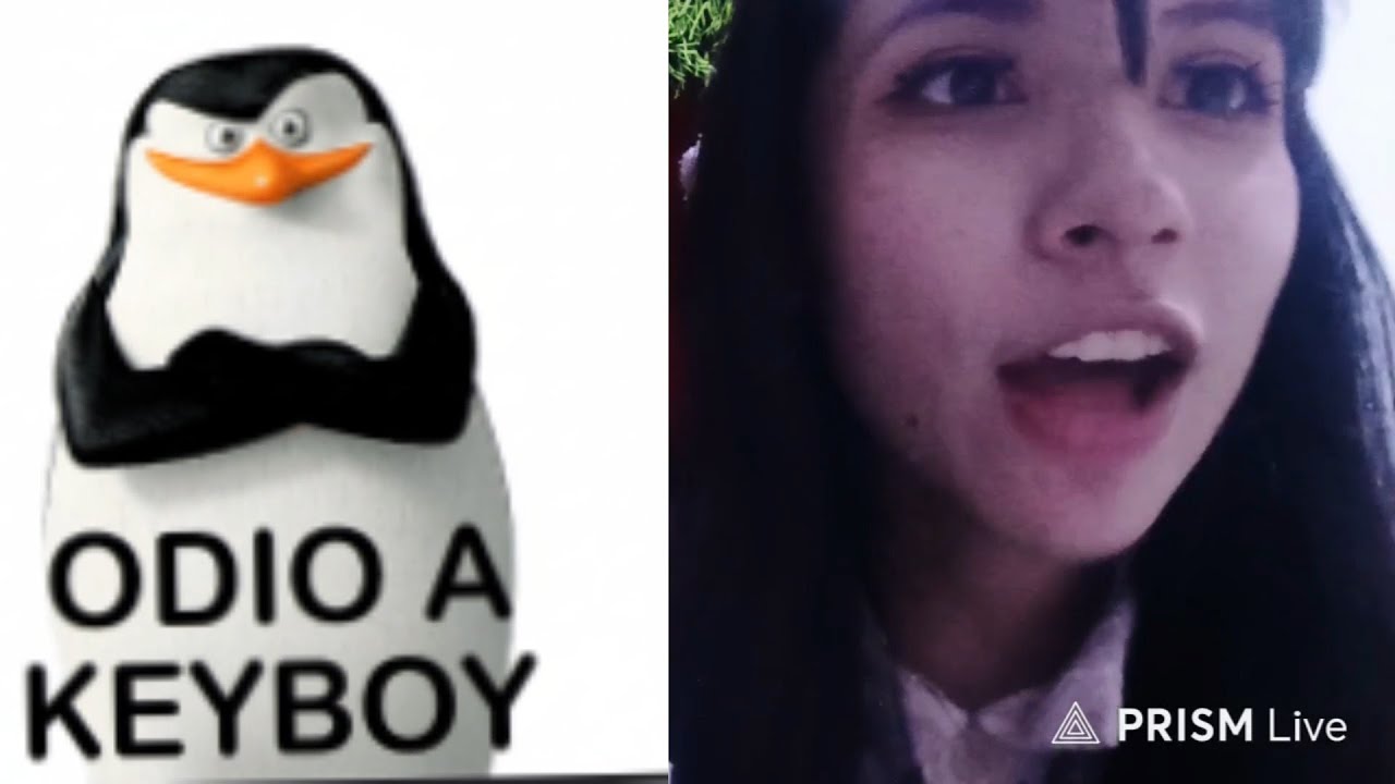 Koumi se Averguenza de Key & Sixel UWU ❤️