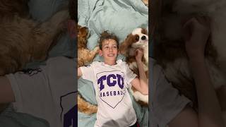 Dawsons Summer Diaries Episode 51, Cavalier Sandwich