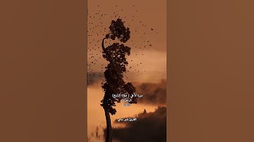 #صلاة_التراويح ❤🌿 #سورة_الأعلى ❤🌿#قرآن #quran