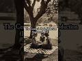 The Centinela Park Abduction | Inglewood, CA #scarystories #truecrime #crime #crimestory #inglewood