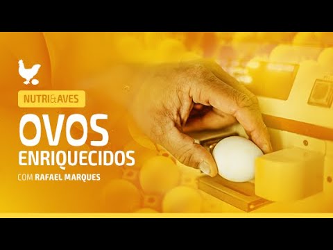 Nutri&Aves: Ovos enriquecidos com nutrientes