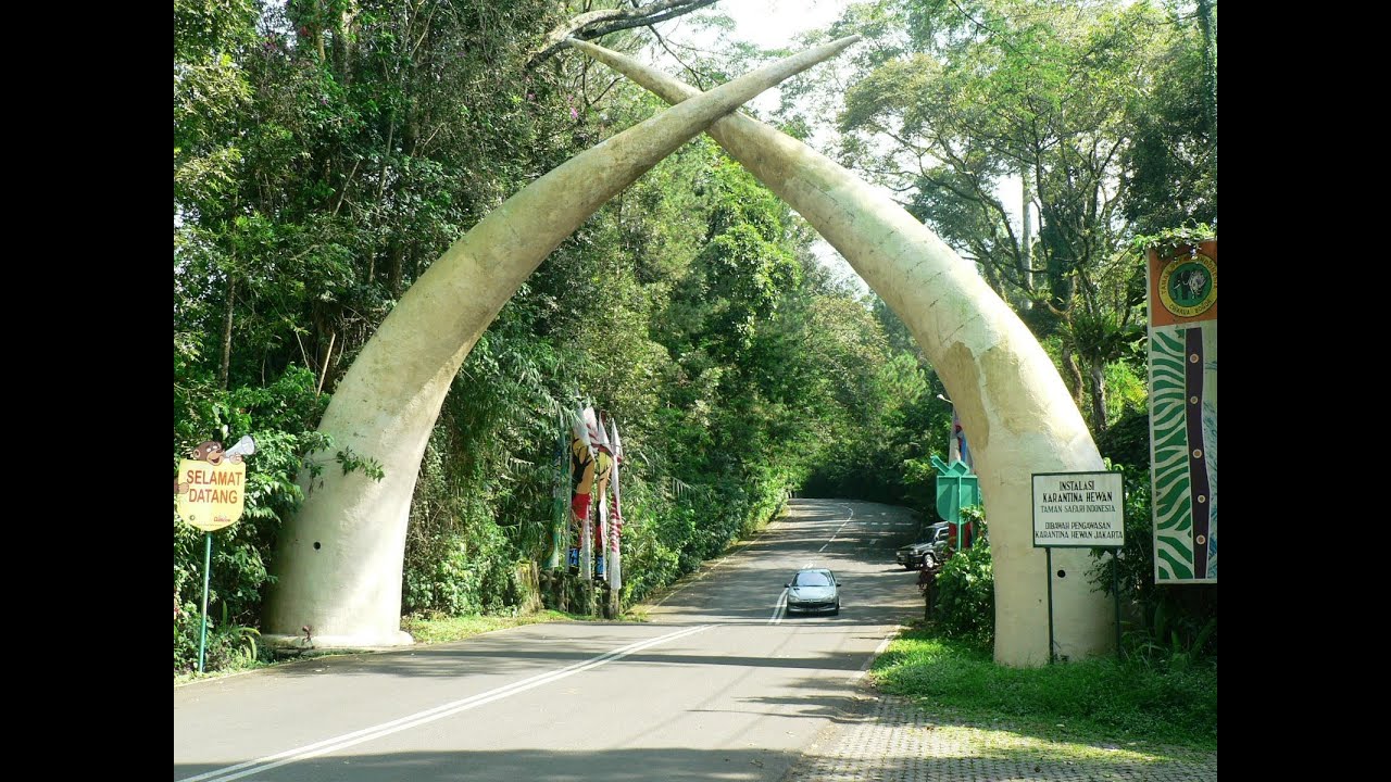 kebun binatang di indonesia