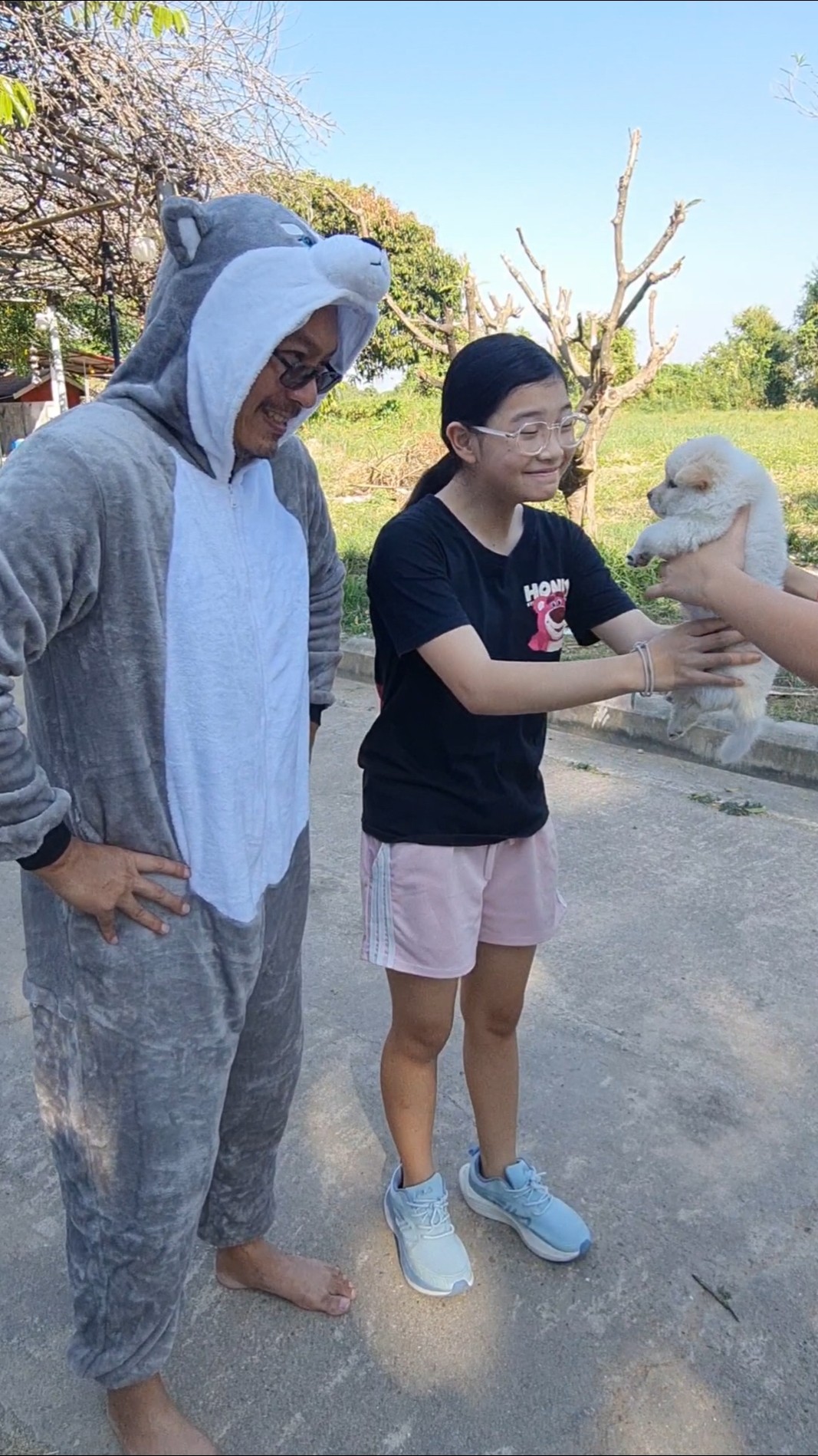 Big Bad Doggo? and Poor Girl‼️?  | JJaiPan #Shorts #funnydog