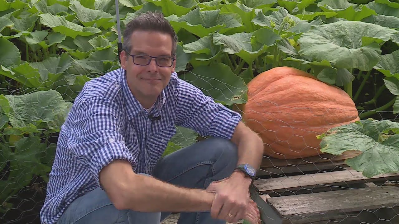 Tim Ezell's Inspirational Moments: Nurturing the positive