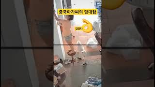 중국여자는 정말 용감하다 #중국 #여자