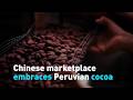 Chinese marketplace embraces Peruvian cocoa