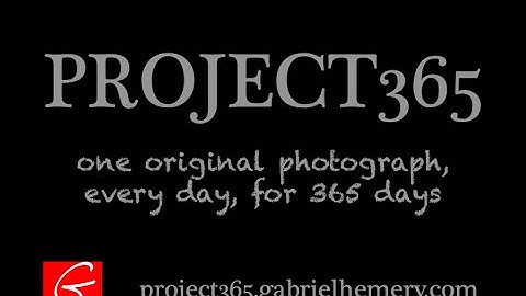 PROJECT365 | Month 4