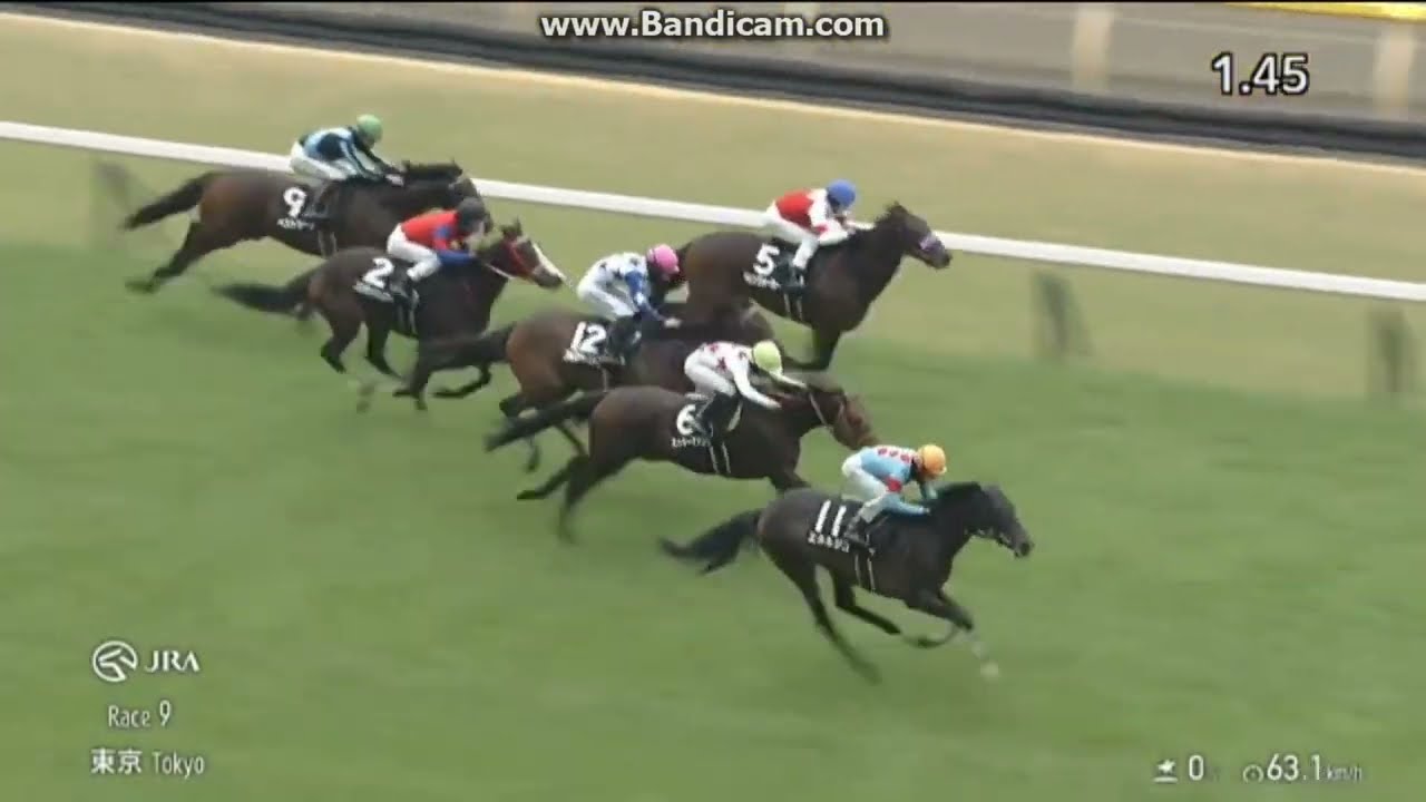 2025 セントポーリア賞 (3歳1勝クラス) エネルジコ - YouTube