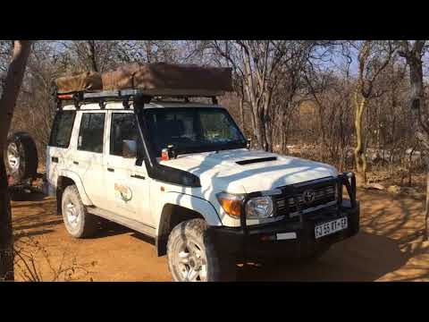 Video: Ako sa zbaliť na africké safari