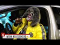 SCAMGOD - SCAMGOD CHRONICLES (WSHH Heatseekers)