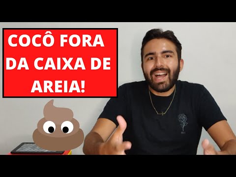 Vídeo: Pees de gato fora da caixa de areia? Sugestões que podem ajudar