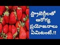 Health Benefits of Strawberry | Health Tips In Telugu | Manandari Health