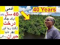Man Planted Trees for 40 years and it Shocked everyone