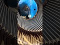 Mechanical inspection of a stator