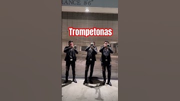 Thumbnail of Trompetistas #banda #music #musica #regionalmexicano #bandasinaloense #calentamiento #parati
