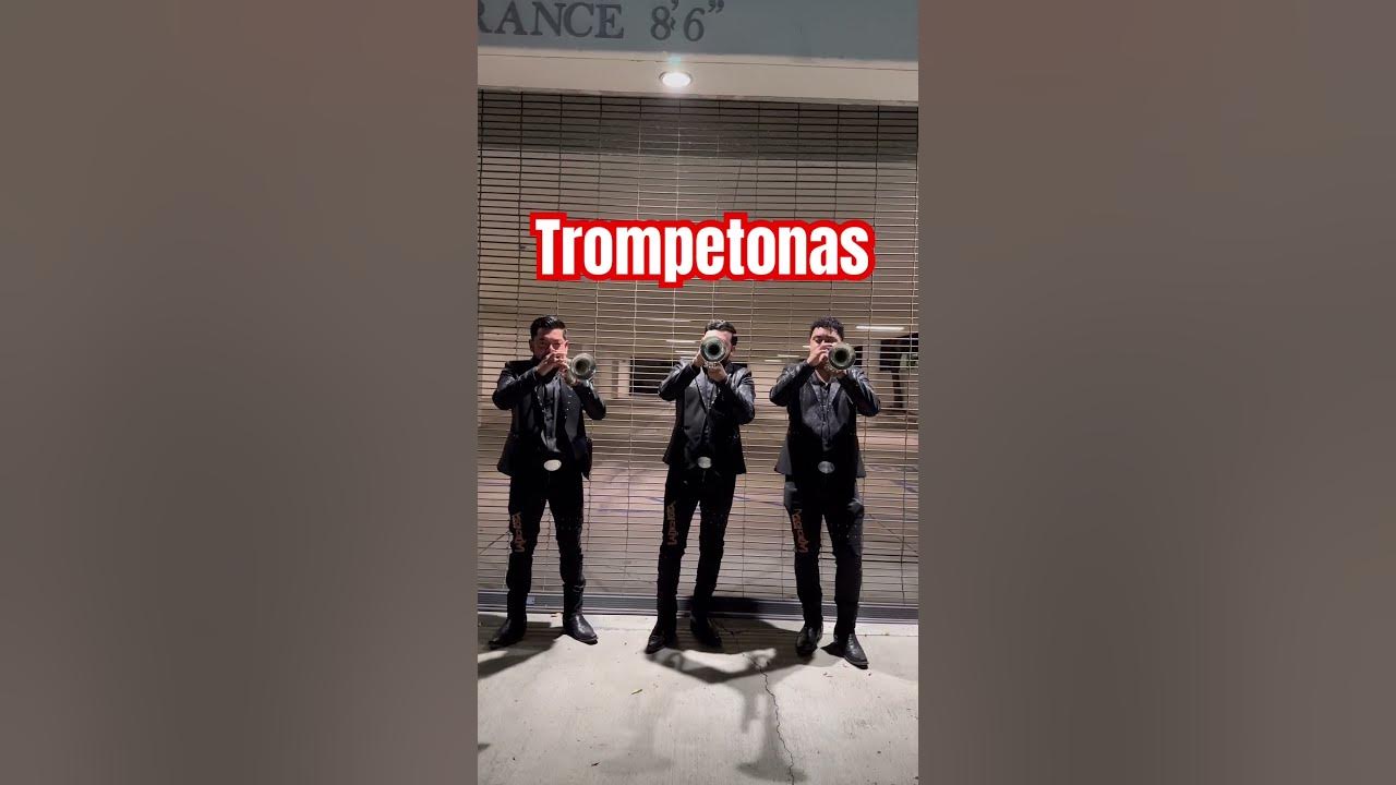 Trompetistas #banda #music #musica #regionalmexicano #bandasinaloense #calentamiento #parati