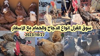 انواع الدجاج العربي والهراتي ودجاج الزينة والحمام في سوق الغزل يوم الجمعة 27 أكتوبر 2023