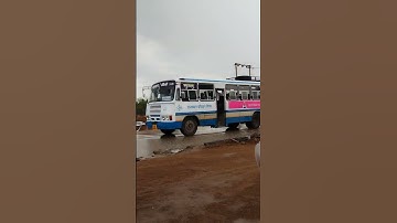 Rajasthan roadways veiw #shortvideo #buses #rsrtc #vlog