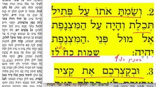 חולין קלח 138 ראשון ט׳ ניסן תשע״ט Daf yomi Chullin daf 138 קלח Shmuel Navon