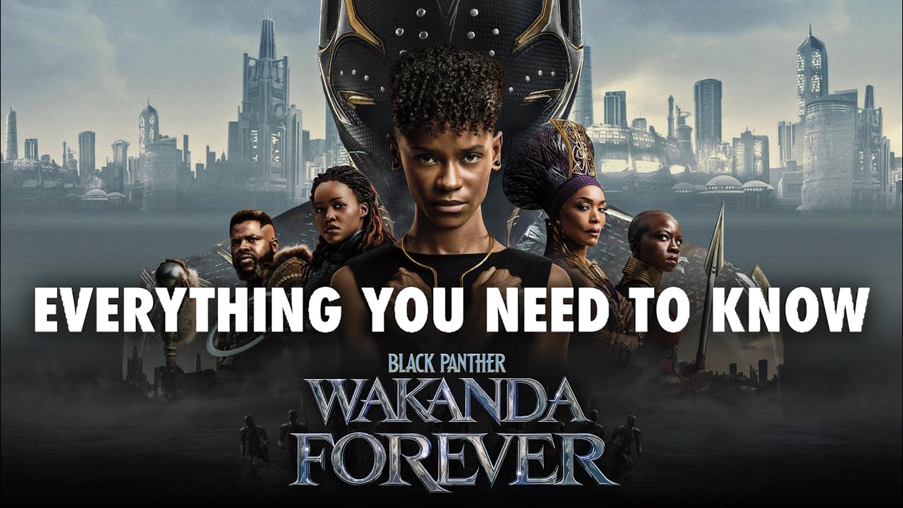 Everything You NEED to Know Before Watching Black Panther Wakanda