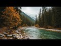 Peaceful Flowing River 🌊 Natural Ambience Sound for Deep Sleep and Stress Relief #766