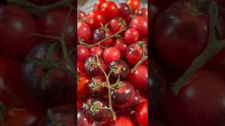 Conserva de tomates cherry! 😍👏🏻 #recetasmwc #food #recipe #tomatoes