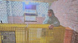 سرقة عينى عينك كدا صحيح اللى اختشوا ماتوا 