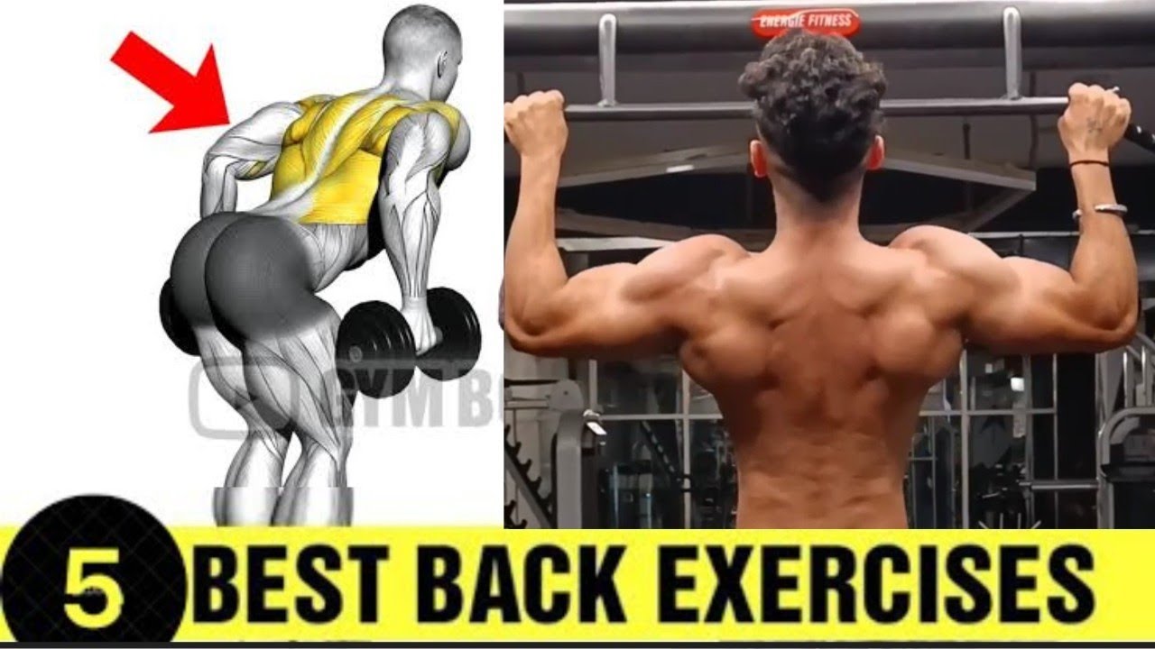 v taper back workout how to get a big back back workout for mass YouTube