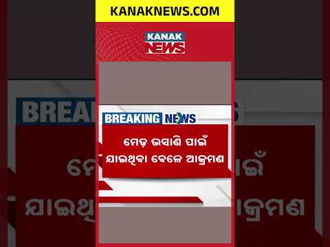 ଭସାଣି ବେଳେ ମରଣାନ୍ତକ ଆକ୍ରମଣ! Balasore Idol Immersion Attack | Youth Injured, Warning Shots Fired