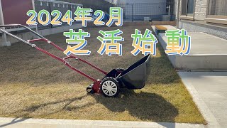 芝活始動　2024年の更新作業