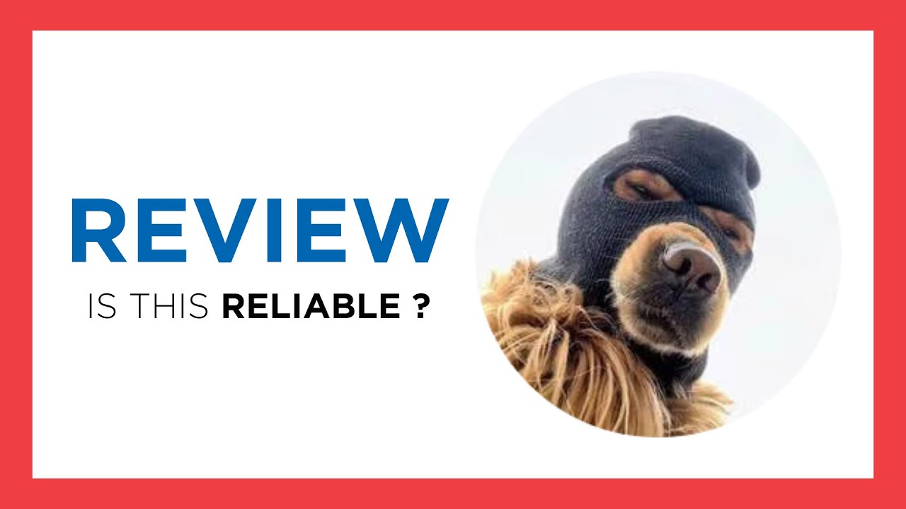 ski-mask-dog-coin-ski-full-review-token-staking-news-crypto