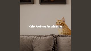 Festive Jazz Trio - Vibe for Open Work Space