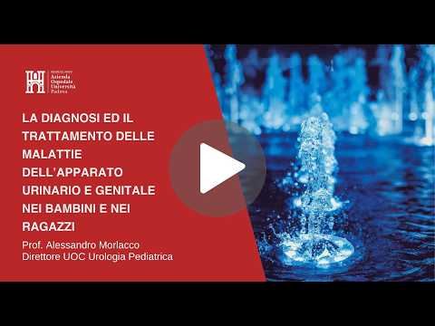 la-diagnosi-ed-il-trattamento-delle-malattie-dellapparato-urinario-e-genitale-nei-bambini-e-nei-ragazzi