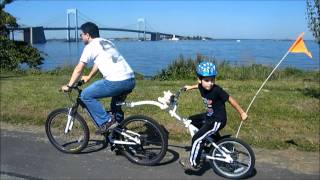 Weeride co pilot back seat driver Clearance